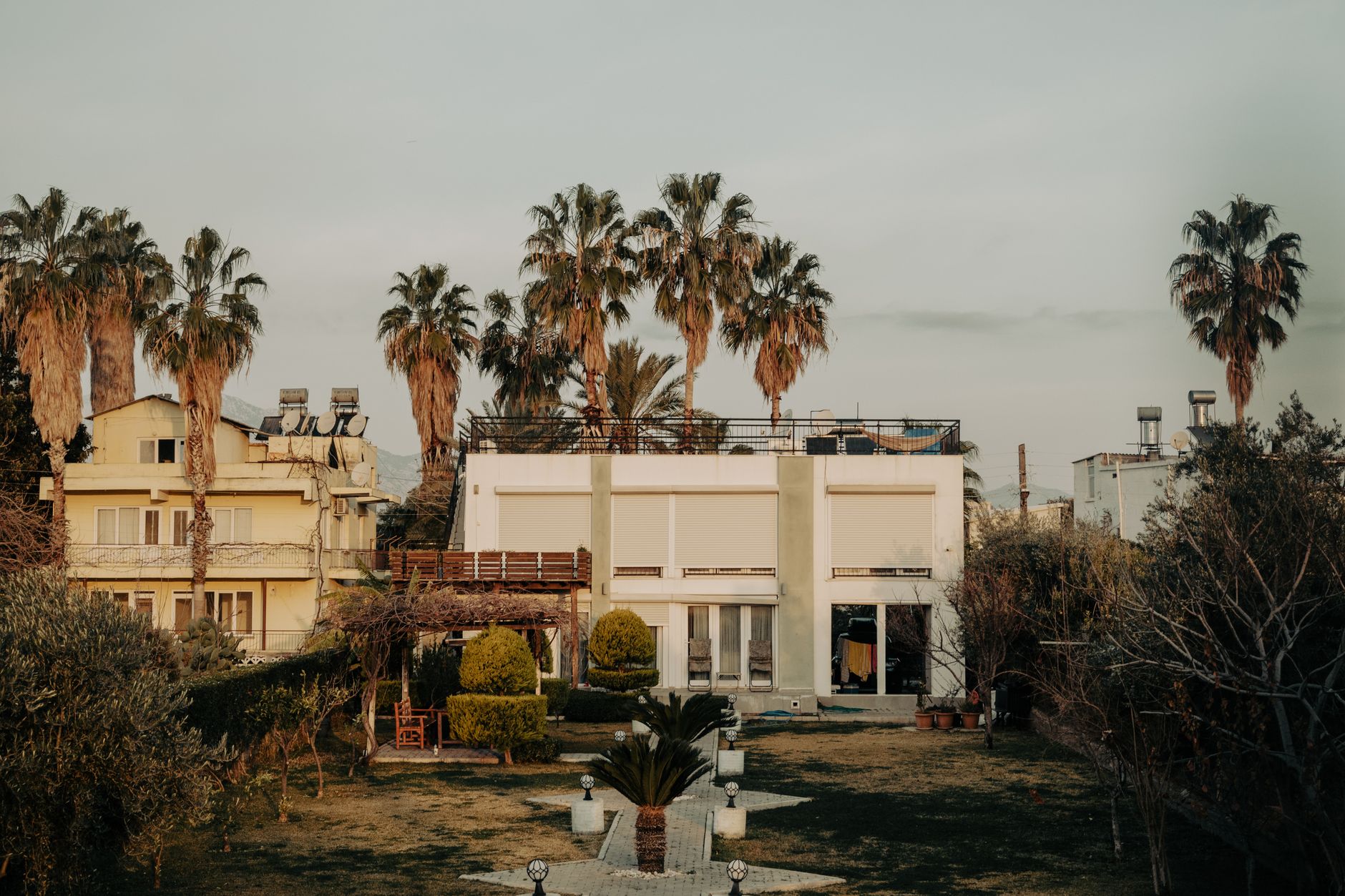 Palm Tree Installation